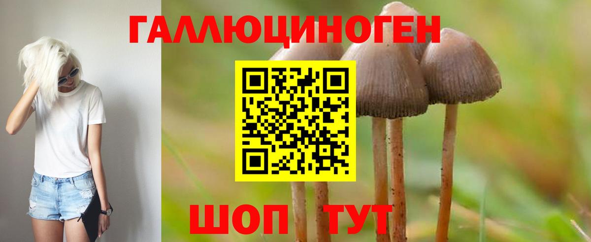 Псилоцибиновые грибы Cubensis Серпухов